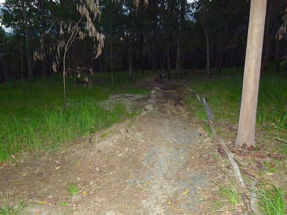 P1160374.jpg